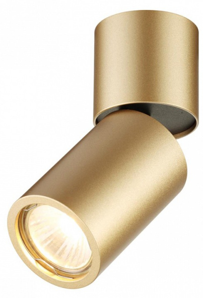 Фото Накладной светильник Odeon Light Duetta 3895/1C