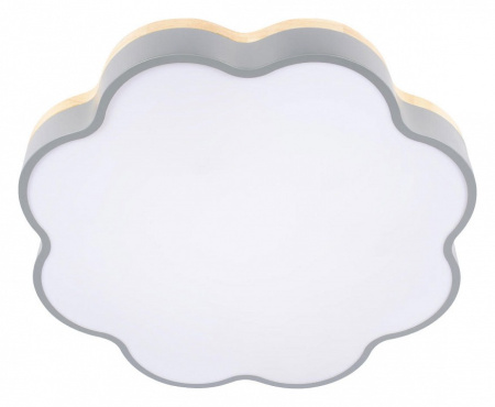 Открыть Накладной светильник Loft it Axel 10225/36 Grey Фото Накладной светильник Loft it Axel 10225/36 Grey
