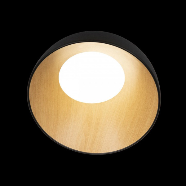 Открыть Накладной светильник Loft it Egg 10197/350 Black Фото Накладной светильник Loft it Egg 10197/350 Black