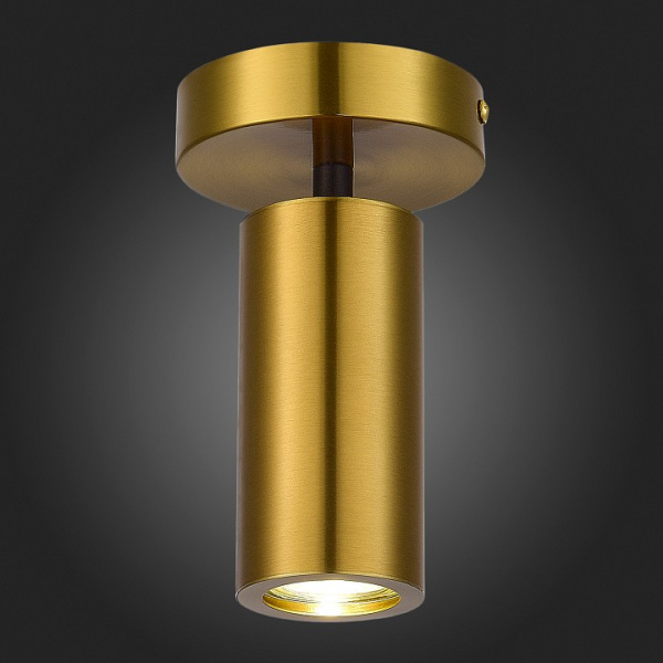 Фото Светильник на штанге ST-Luce Talia SL1215.402.01