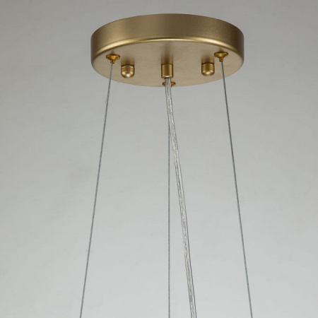 Фото Подвесная люстра Favourite Rays 4058-8P