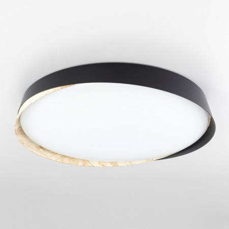 Фото Накладной светильник Citilux BONNY CL754451G