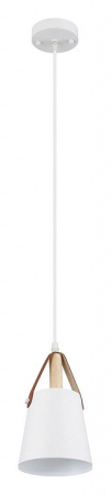 Открыть Подвесной светильник Arte Lamp Thomas A7032SP-1WH Фото Подвесной светильник Arte Lamp Thomas A7032SP-1WH