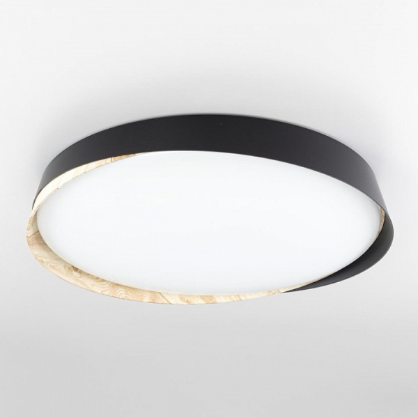 Фото Накладной светильник Citilux BONNY CL754451G