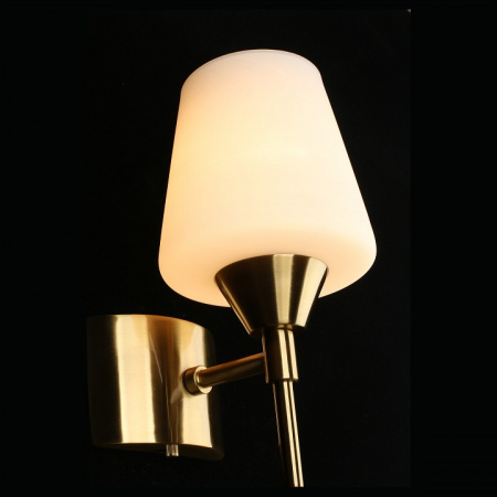 Фото Бра Aployt Lyus APL.840.01.01