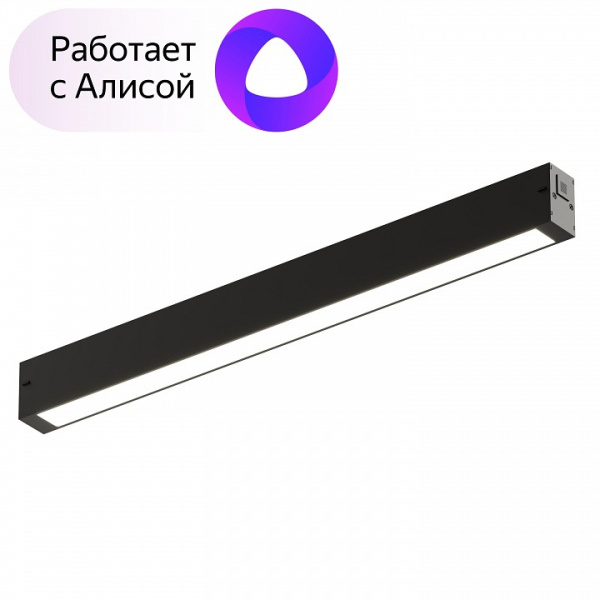 Фото Накладной светильник Denkirs DK8004 DK8004-BK