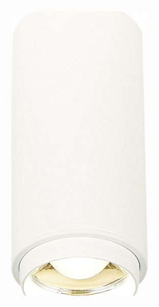 Фото Накладной светильник ST-Luce Zoom ST600.542.10