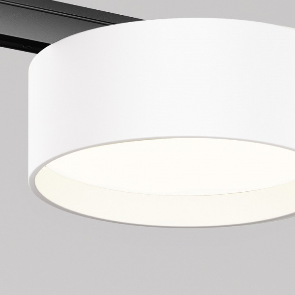 Фото Накладной светильник Maytoni Zon TR189-1-12W4K-BW