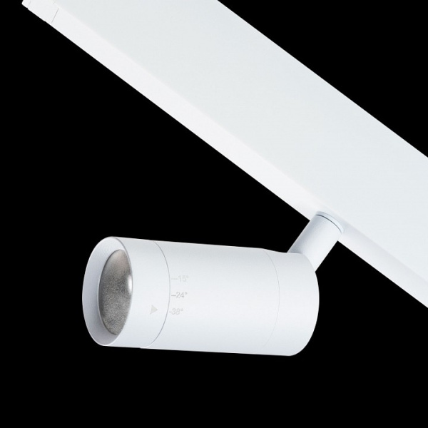 Фото Светильник на штанге Lightstar Teta 205016