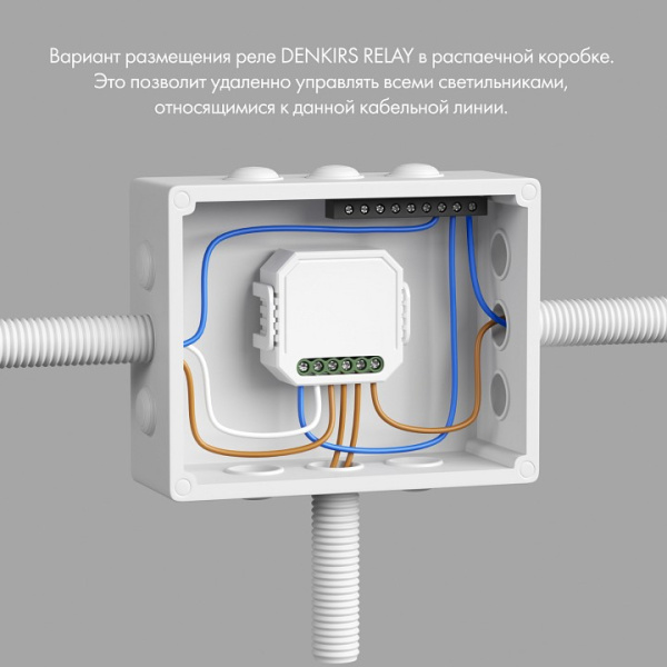 Фото Конвертер Wi-Fi для смартфонов и планшетов Denkirs RELAY RL1002-SM