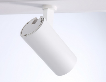 Открыть Накладной светильник Ambrella Light FL FL66201 Фото Накладной светильник Ambrella Light FL FL66201