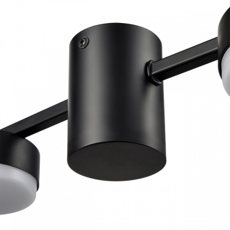 Фото Накладной светильник Lumion Sanata 8187/4C