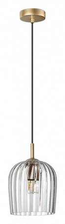 Фото Подвесной светильник Lumion Ellie 6551/1A