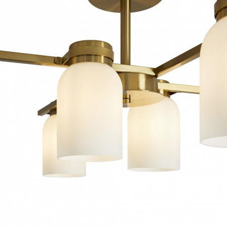 Фото Люстра на штанге Freya Kamelia FR5446PL-06BS