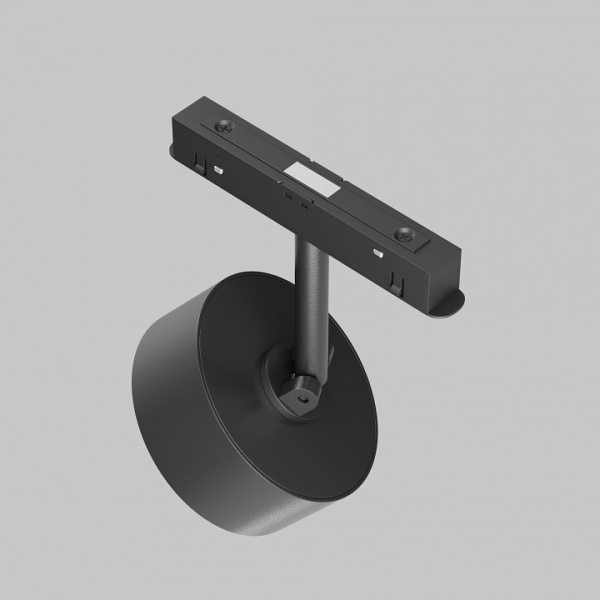 Фото Светильник на штанге Maytoni Lens TR217-4-15WTW-DS-B