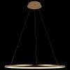 Фото Подвесной светильник Loft it Ring 10014L