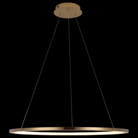 Фото Подвесной светильник Loft it Ring 10014L