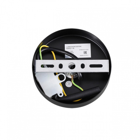 Фото Подвесной светильник Lumion Ice 6562/1A