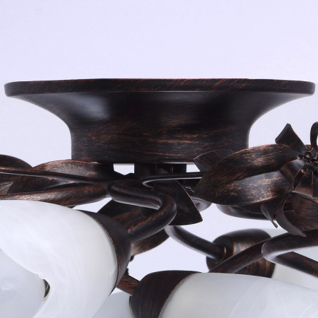 Фото Потолочная люстра MW-Light Аида 13 323013708