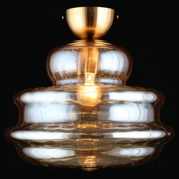 Фото Накладной светильник Aployt Liana APL.303.17.01