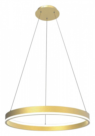 Фото Подвесной светильник Lightstar Rotonda 736402