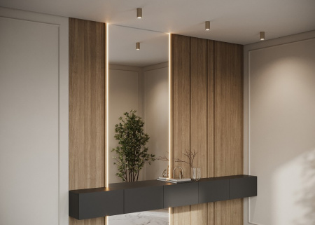 Фото Накладной светильник Maytoni Calipso C106CL-01-GU10-BS