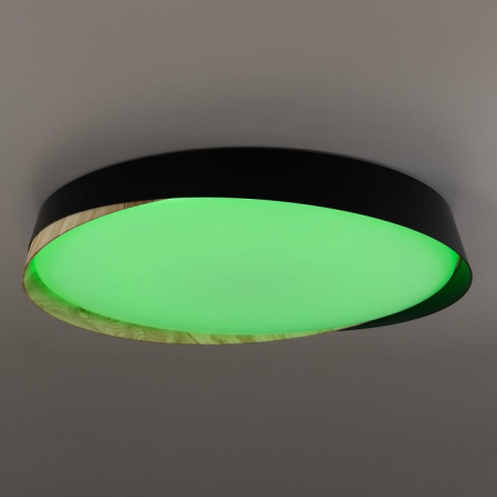 Фото Накладной светильник Citilux BONNY CL754451G