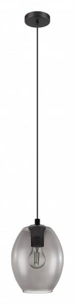 Фото Подвесной светильник Eglo Cadaques 98582