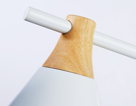 Фото Подвесной светильник Ambrella Light TR TR8196