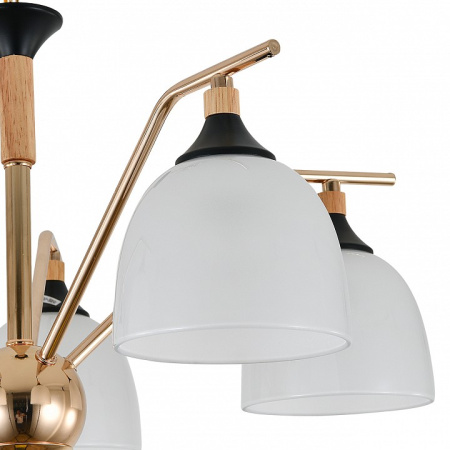 Фото Подвесная люстра Escada Actinidia 2123/5P