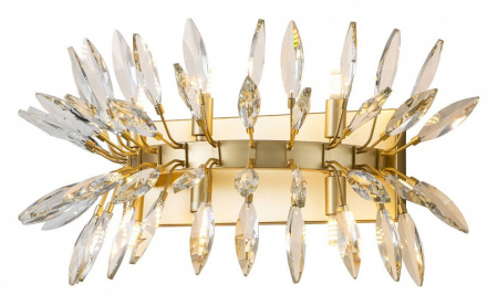 Фото Накладной светильник Favourite Rays 4058-6W