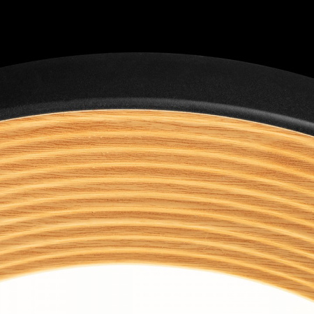 Фото Накладной светильник Loft it Folk 10255/500 Black