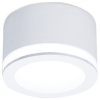 Накладной светильник Ambrella Light TN TN265 Накладной светильник Ambrella Light TN TN265