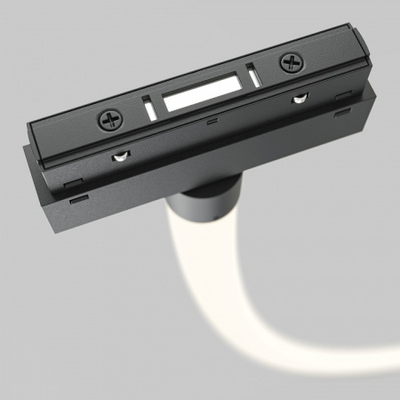 Фото Подвесной светильник Maytoni Tau TR101-2-100W4K-B