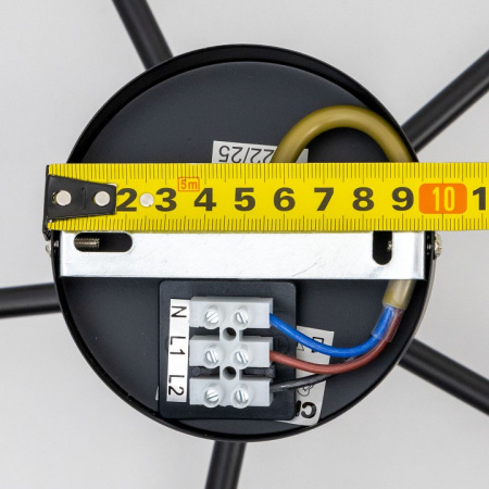 Фото Люстра на штанге Citilux Стивен CL141251