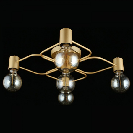 Фото Потолочная люстра Aployt Elison APL.911.07.05