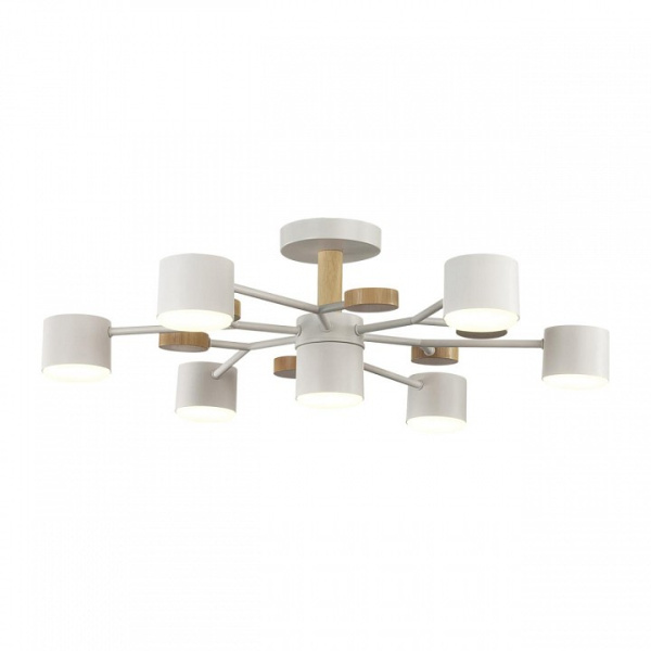 Открыть Потолочная люстра Lumion Rondo 8195/7C Фото Потолочная люстра Lumion Rondo 8195/7C