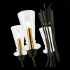 Открыть Подвесная люстра EVOLUCE Rammo SLE112403-05 Фото Подвесная люстра EVOLUCE Rammo SLE112403-05