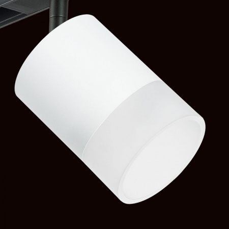 Фото Светильник на штанге Lightstar Rullo PRO348681