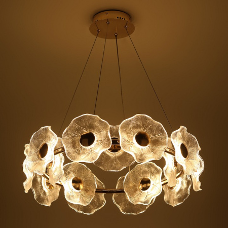 Фото Подвесная люстра Rivoli Shannon Б0061947