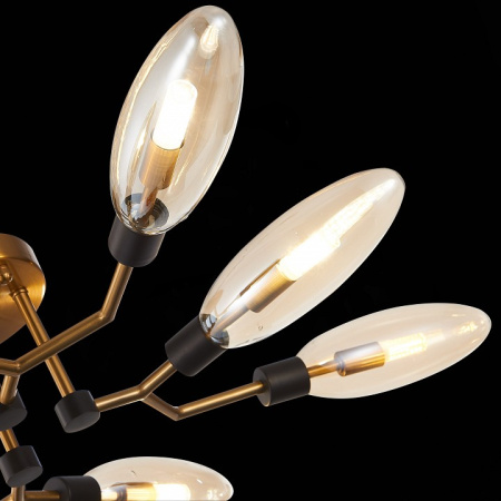 Фото Потолочная люстра ST-Luce Desima SL1174.302.08