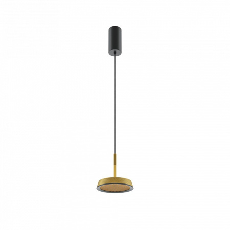 Фото Подвесной светильник Maytoni El MOD041PL-L15G3K