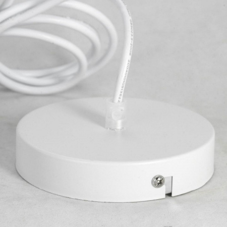 Фото Подвесной светильник Lussole Dove GRLSP-8220