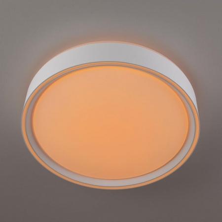 Фото Накладной светильник Citilux BOSS CL751250G