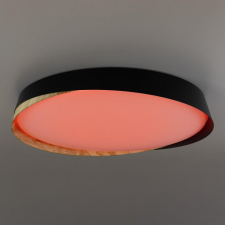 Фото Накладной светильник Citilux BONNY CL754451G