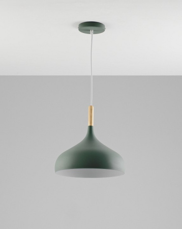 Фото Подвесной светильник Moderli Eline V1296-1P