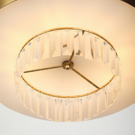 Фото Подвесной светильник Rivoli Vickie Б0061902