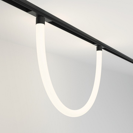 Фото Подвесной светильник Maytoni Tau TR101-2-20W4K-B