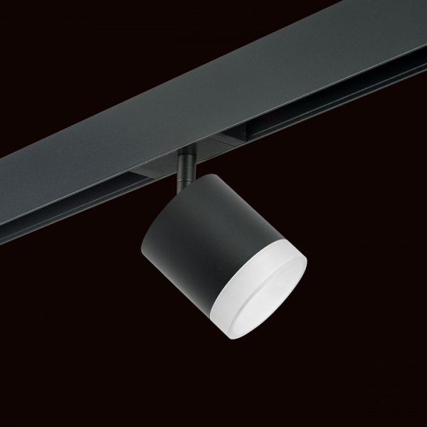 Фото Светильник на штанге Lightstar Rullo PRO348780