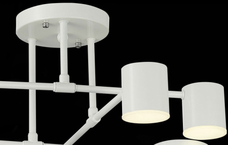 Фото Потолочная люстра EVOLUCE Nobel SLE201052-06